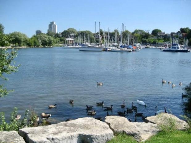 Appartement Harbour House à Hamilton Extérieur photo